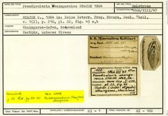Karteikarte zum Holotyp von Frondicularia whaingaroica Stache, 1864